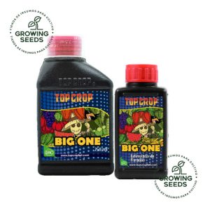 TOP CROP - Big One