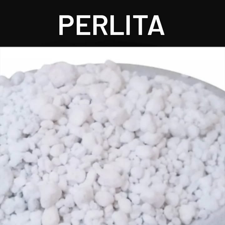 Perlita Diagonal Garden Shop 10dm