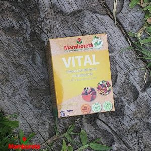 MAMBORETA VITAL Enraizamiento – Antiestrés