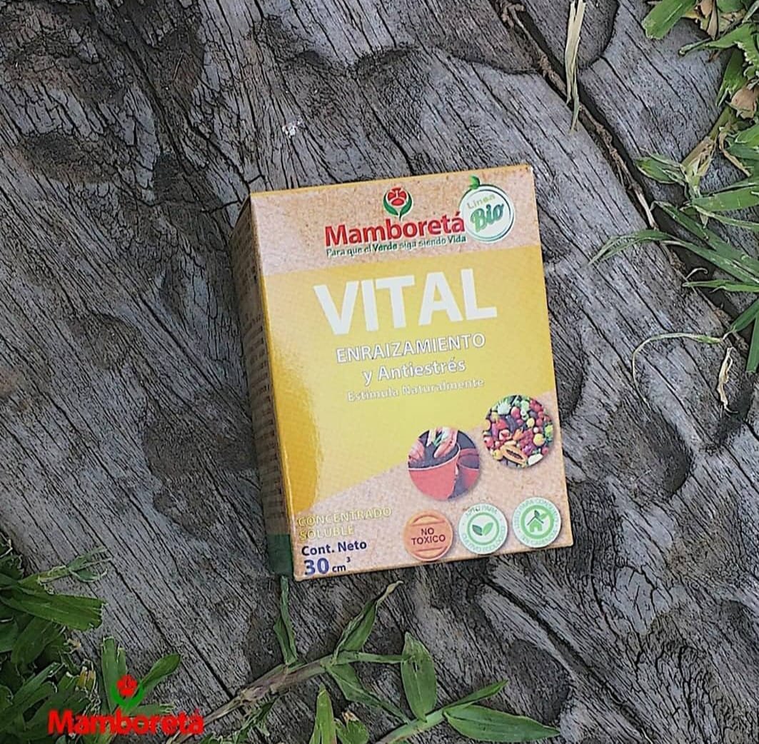 MAMBORETA VITAL Enraizamiento – Antiestrés