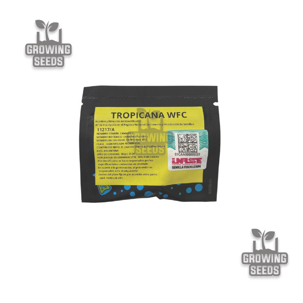 Sweed Lab - Tropicana WFC Semillas Feminizadas x4 - Imagen 2