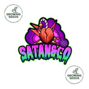Satan&CO Semillas Feminizadas (Blister x3)