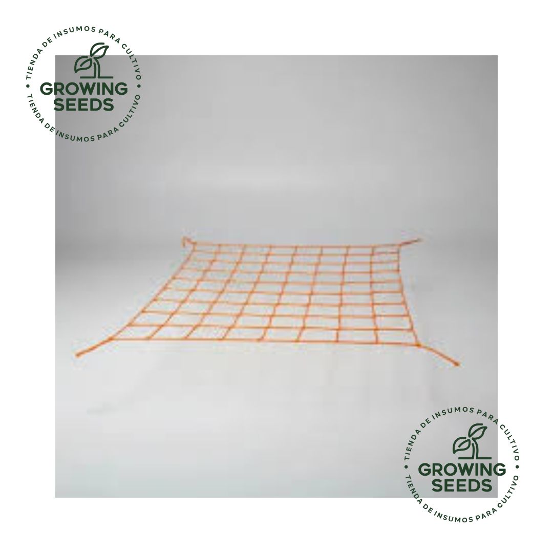 MultiRed Red Scrog Red de Entrenamiento