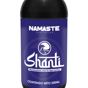 Namaste - Shanti