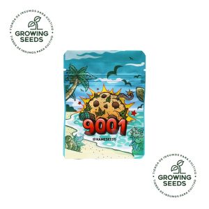 Kameseeds - 9001 Semillas Feminizadas Sativa x3