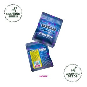 Billy Seeds - BSOD74 Semillas Feminizadas x3