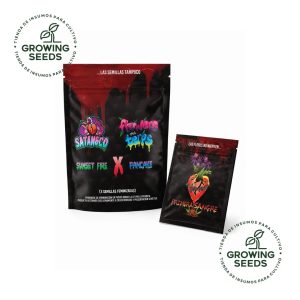 Primera Sangre x3 Feminizada | Satan&Co x Flowers and Terps