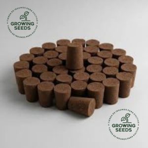 Conos de Turba para Esquejes x10